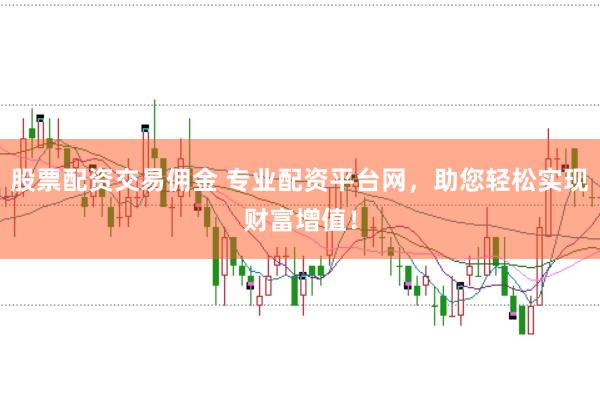 股票配资交易佣金 专业配资平台网，助您轻松实现财富增值！