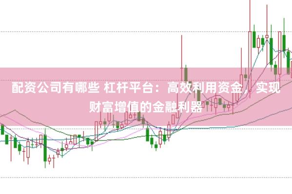 配资公司有哪些 杠杆平台：高效利用资金，实现财富增值的金融利器