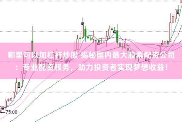 哪里可以加杠杆炒股 揭秘国内最大股票配资公司：专业配资服务，助力投资者实现梦想收益！