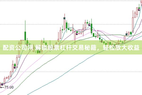 配资公司网 解锁股票杠杆交易秘籍，轻松放大收益