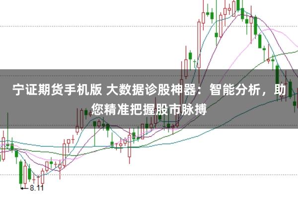 宁证期货手机版 大数据诊股神器：智能分析，助您精准把握股市脉搏