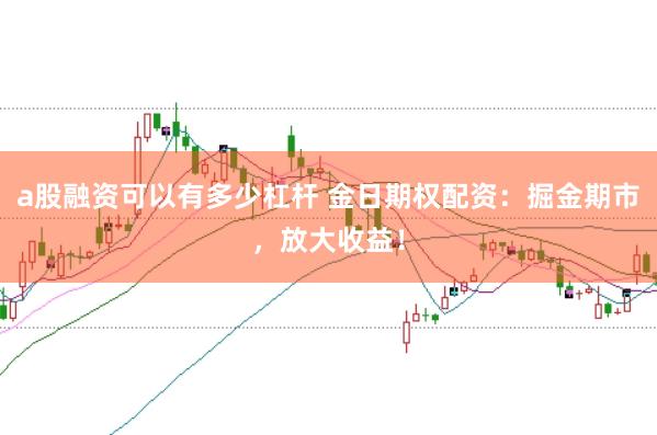 a股融资可以有多少杠杆 金日期权配资：掘金期市，放大收益！