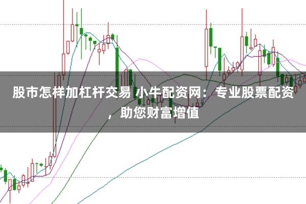 股市怎样加杠杆交易 小牛配资网：专业股票配资，助您财富增值