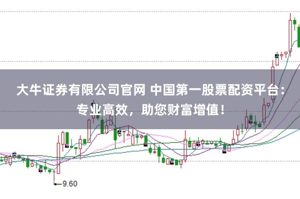 大牛证券有限公司官网 中国第一股票配资平台：专业高效，助您财富增值！