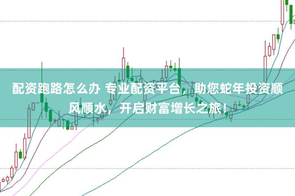 配资跑路怎么办 专业配资平台，助您蛇年投资顺风顺水，开启财富增长之旅！