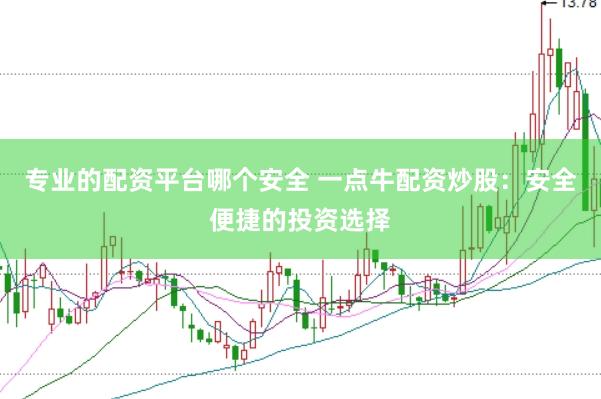 专业的配资平台哪个安全 一点牛配资炒股：安全便捷的投资选择