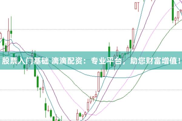 股票入门基础 滴滴配资：专业平台，助您财富增值！