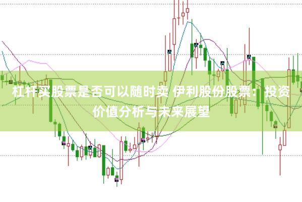 杠杆买股票是否可以随时卖 伊利股份股票：投资价值分析与未来展望