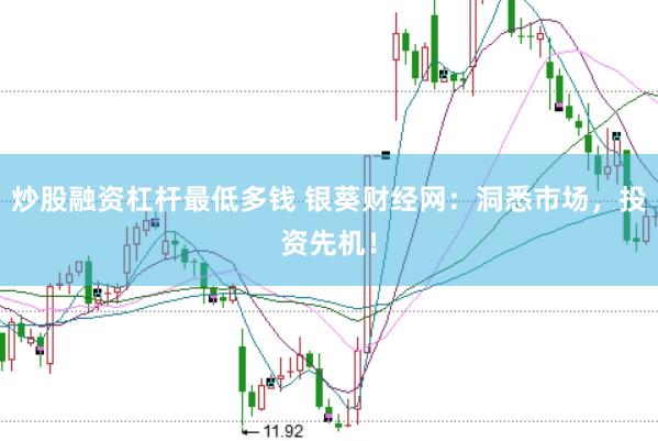 炒股融资杠杆最低多钱 银葵财经网：洞悉市场，投资先机！
