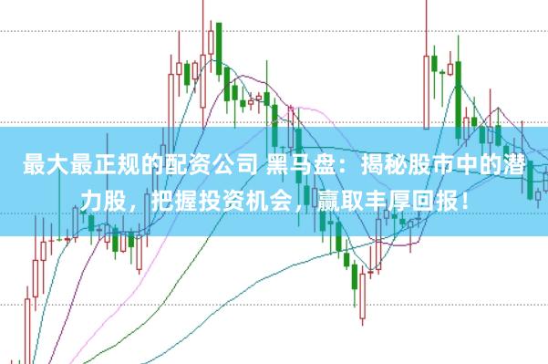最大最正规的配资公司 黑马盘：揭秘股市中的潜力股，把握投资机会，赢取丰厚回报！