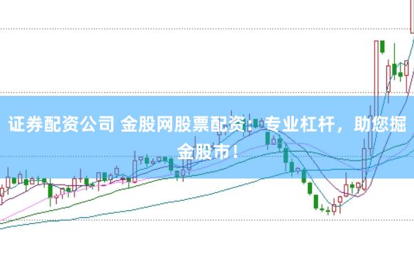 证券配资公司 金股网股票配资：专业杠杆，助您掘金股市！