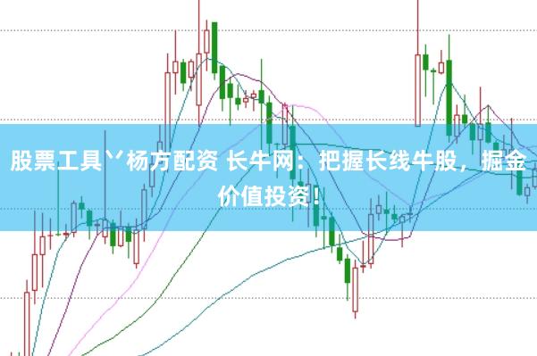 股票工具丷杨方配资 长牛网：把握长线牛股，掘金价值投资！