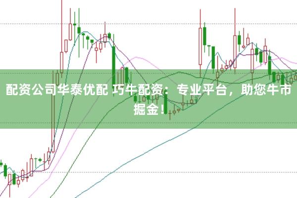 配资公司华泰优配 巧牛配资：专业平台，助您牛市掘金！