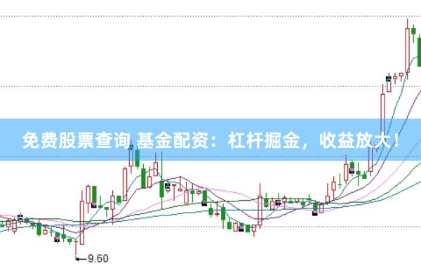 免费股票查询 基金配资：杠杆掘金，收益放大！