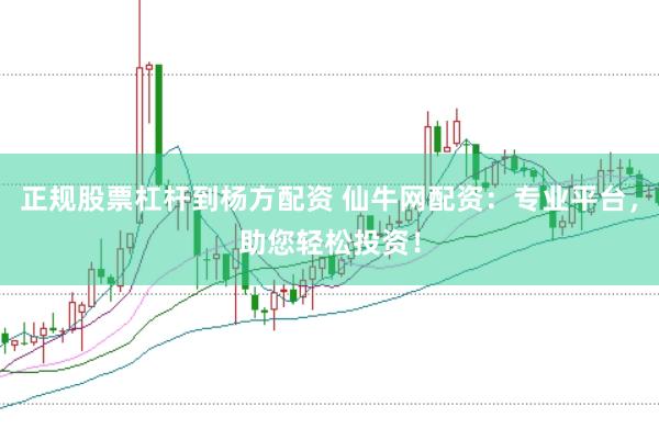 正规股票杠杆到杨方配资 仙牛网配资：专业平台，助您轻松投资！