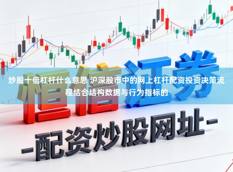 炒股十倍杠杆什么意思 沪深股市中的网上杠杆配资投资决策流程结合结构数据与行为指标的
